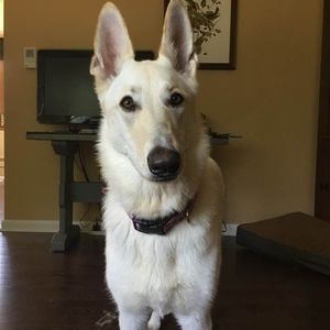 Meet your Posher, Terri